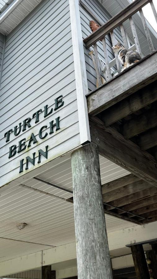 Turtle Beach Inn Indian Pass Bagian luar foto